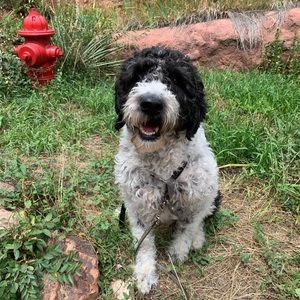 Meet your Posher, Eric